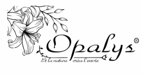 Capture d'écran 2025-10-01 095004